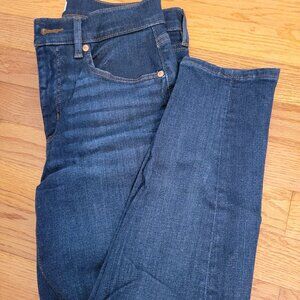 Loft Size 27/4 Skinny Crop Jeans